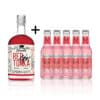 1x Red Tonka Gin + 5x Fever-Tree Wild Berry Tonic